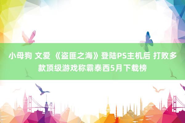 小母狗 文爱 《盗匪之海》登陆PS主机后 打败多款顶级游戏称霸泰西5月下载榜