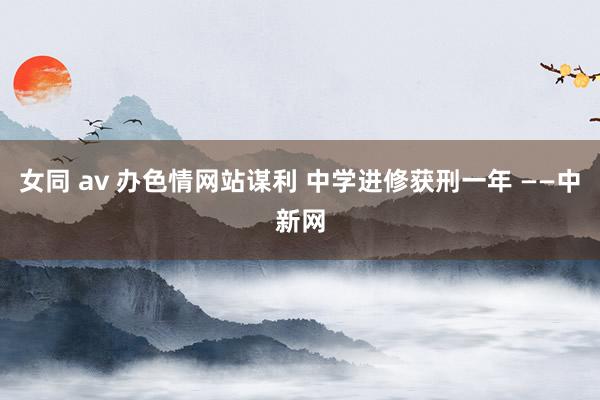 女同 av 办色情网站谋利 中学进修获刑一年 ——中新网