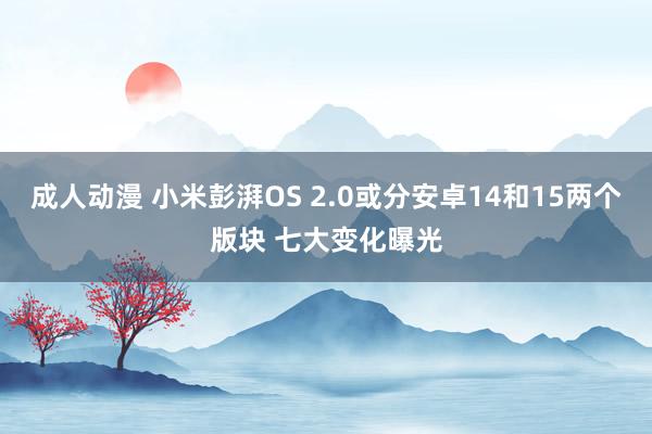 成人动漫 小米彭湃OS 2.0或分安卓14和15两个版块 七大变化曝光