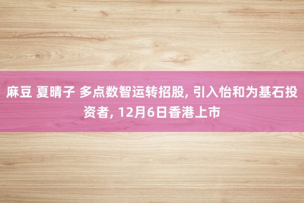 麻豆 夏晴子 多点数智运转招股， 引入怡和为基石投资者， 12月6日香港上市