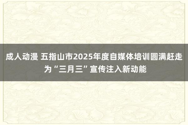 成人动漫 五指山市2025年度自媒体培训圆满赶走 为“三月三”宣传注入新动能