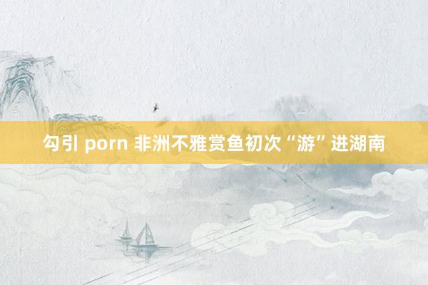 勾引 porn 非洲不雅赏鱼初次“游”进湖南